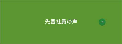 先輩社員の声